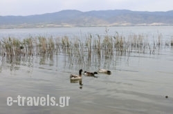 Limnes Villas in Asprovalta, Thessaloniki, Macedonia