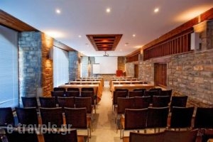 Santa Marina Arachova_lowest prices_in_Hotel_Central Greece_Viotia_Arachova