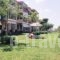 Stella-Meri Studios Apartments_best deals_Apartment_Macedonia_Halkidiki_Nea Skioni
