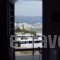 Katerina_holidays_in_Hotel_Cyclades Islands_Paros_Piso Livadi