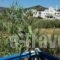 Aegialis_accommodation_in_Hotel_Cyclades Islands_Syros_Galissas