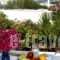 Ariti Apartments_best prices_in_Apartment_Cyclades Islands_Paros_Naousa
