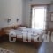 Kallirroi Studios_best deals_Apartment_Aegean Islands_Samos_Pythagorio