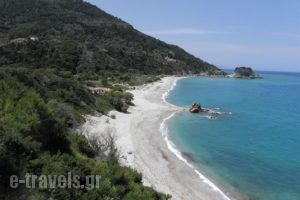 Kallirroi Studios_accommodation_in_Apartment_Aegean Islands_Samos_Pythagorio