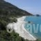 Kallirroi Studios_accommodation_in_Apartment_Aegean Islands_Samos_Pythagorio