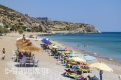 Alpha Stegna Sun_s __1