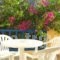 Orfeas Apartments_lowest prices_in_Apartment_Cyclades Islands_Sandorini_kamari