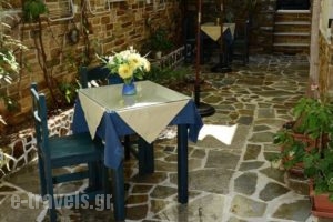 Studios Alsos_lowest prices_in_Hotel_Cyclades Islands_Naxos_Naxos chora