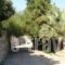 Mathia Apartments_best prices_in_Apartment_Thessaly_Magnesia_Pilio Area