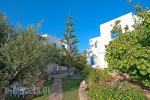 Guesthouse Perdikouli_best prices_in_Room_Cyclades Islands_Paros_Alyki