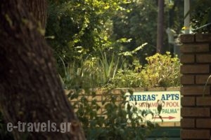 Nireas Studios & Apartments_best prices_in_Apartment_Ionian Islands_Corfu_Acharavi