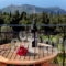 Panoramic Sunset Studios Vrionis_accommodation_in_Apartment_Ionian Islands_Kefalonia_Kefalonia'st Areas