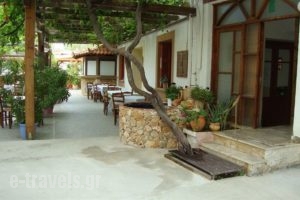 Lefka_holidays_in_Hotel_Crete_Chania_Platanias