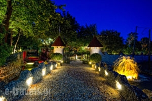 Nepheli_lowest prices_in_Hotel_Epirus_Preveza_Mytikas