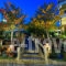 Nepheli_travel_packages_in_Epirus_Preveza_Mytikas