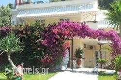 Ianos_s __1