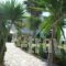 Villa Alex_best prices_in_Villa_Epirus_Preveza_Preveza City