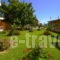 Kalias_holidays_in_Hotel_Ionian Islands_Lefkada_Vasiliki