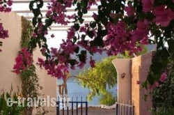 Michalis Studios in Pythagorio, Samos, Aegean Islands