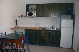 Michalis Studios_best prices_in_Apartment_Dodekanessos Islands_Tilos_Livadia