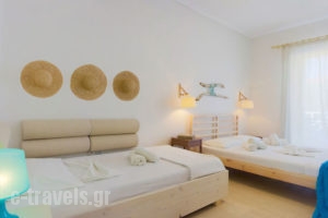 Spinos Studios_accommodation_in_Apartment_Ionian Islands_Zakinthos_Alykes