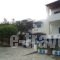 Irene Studios_travel_packages_in_Cyclades Islands_Andros_Gavrio