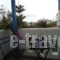 Irene Studios_best deals_Apartment_Cyclades Islands_Andros_Gavrio