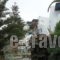 Irene Studios_best prices_in_Apartment_Cyclades Islands_Andros_Gavrio