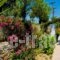 Camelia Studios_best deals_Apartment_Sporades Islands_Skiathos_Skiathos Chora