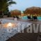 Jojo_best prices_in_Apartment_Dodekanessos Islands_Patmos_Skala