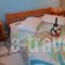 Tzivaeri Alexandros_accommodation_in_Hotel_Cyclades Islands_Naxos_Agios Prokopios