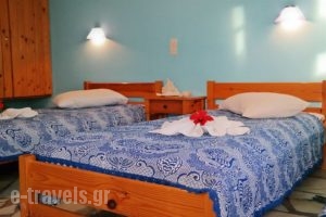 Tzivaeri Alexandros_holidays_in_Hotel_Cyclades Islands_Naxos_Agios Prokopios
