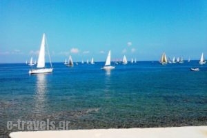 Art Boutique_travel_packages_in_Piraeus Islands - Trizonia_Agistri_Agistri Rest Areas