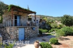 Strofilia Apartments_s __1