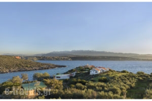 Villa Kiara_accommodation_in_Villa_Crete_Chania_Akrotiri