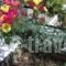 Aphrodite Studios_best deals_Hotel_Ionian Islands_Corfu_Palaeokastritsa