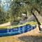 Nestor Apartments_best deals_Apartment_Aegean Islands_Thasos_Thasos Chora