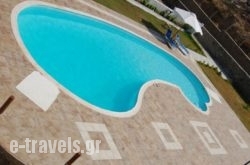 Paravatos Studios 2_s __1