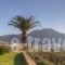 Ellis Studios_travel_packages_in_Crete_Rethymnon_Plakias