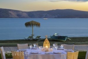 Makis Inn Resort_holidays_in_Hotel_Peloponesse_Argolida_Ermioni
