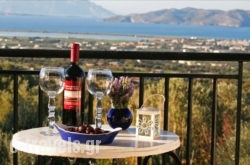 The Olive Branch Villa_s __1