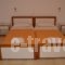 Lambrakis Studios & Apartments_best deals_Apartment_Ionian Islands_Kefalonia_Vlachata