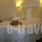 Villas Ftelia_travel_packages_in_Sporades Islands_Skiathos_Skiathos Chora