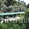 Elena Hotel_best deals_Hotel_Central Greece_Fthiotida_Kamena Vourla