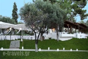 Trikorfo Beach_best prices_in_Apartment_Macedonia_Halkidiki_Poligyros