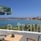 Kalypso Hotel_best deals_Hotel_Cyclades Islands_Paros_Piso Livadi