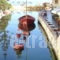 Porto Kalyves_travel_packages_in_Crete_Chania_Kalyves