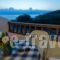 Studio Lia_accommodation_in_Hotel_Aegean Islands_Thassos_Thassos Rest Areas