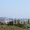 Spanos Apartments_best deals_Apartment_Cyclades Islands_Andros_Gavrio