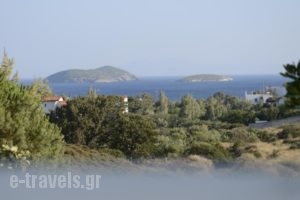 Spanos Apartments_lowest prices_in_Apartment_Cyclades Islands_Andros_Gavrio